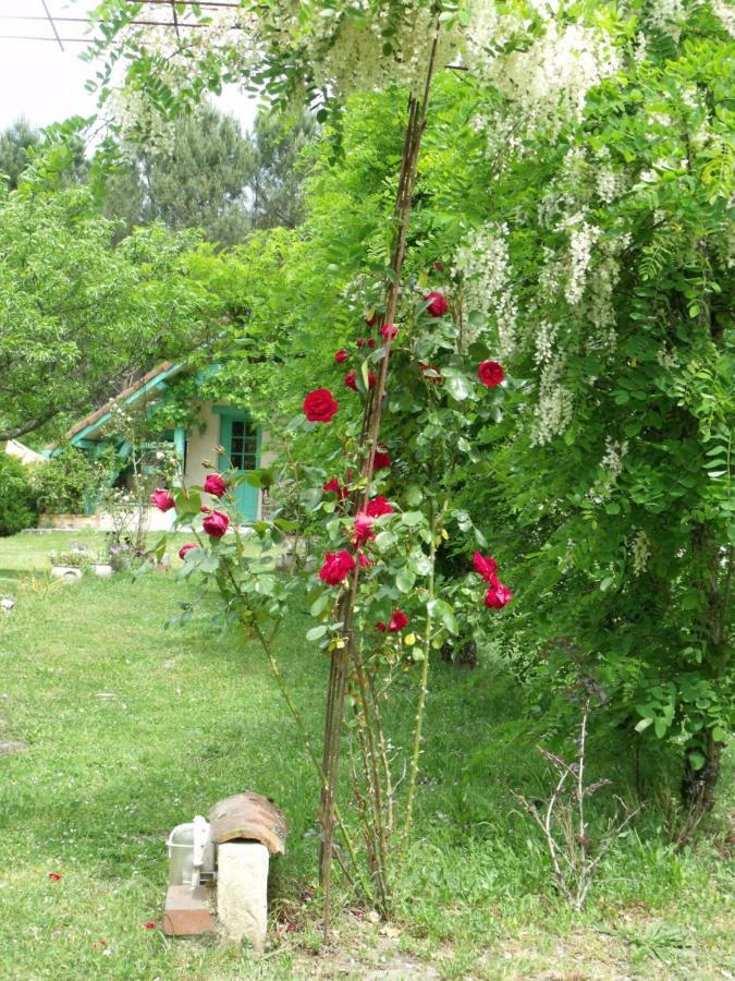 Les Hotes Landes Saint-Gor Buitenkant foto